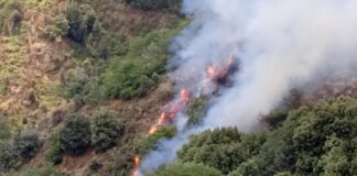 Leo Autelitano (presidente del Parco dell’Aspromonte in Calabria): “Siamo alla disperazione”