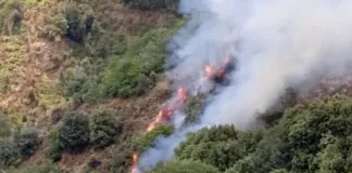 Leo Autelitano (presidente del Parco dell’Aspromonte in Calabria): “Siamo alla disperazione”