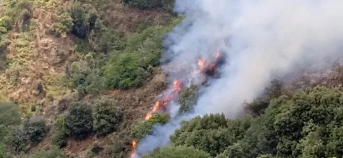 incendio Aspromonte