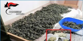 Carabinieri di Calatabiano, coadiuvati da colleghi dello squadrone eliportato Cacciatori di Sicilia, hanno arrestato un pregiudicato 48enne di Mascali per spaccio di sostanze stupefacenti