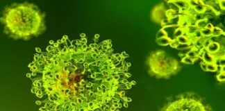 I positivi al Coronavirus, censiti finora sono stati 83165 (+133) rispetto a ieri