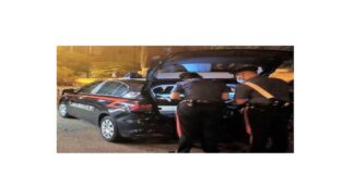 I carabinieri della compagnia di Fontanarossa, insieme ai colleghi del XII Reggimento “Sicilia” ed al N.A.S., hanno effettuato un controllo straordinario del territorio finalizzato a garantire il rispetto della normativa anti-covid