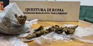 La lotta allo spaccio nella capitale da parte della Polizia di Stato…, non conosce confini