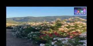 Dal Comune non è arrivata nessuna risposta, ma è giunto l’ennesimo parere positivo da parte dell’Assessorato Regionale alle Autonomie Locali e per la Funzione Pubblica della Sicilia per le sorti del nuovo Municipio MonteMare