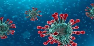 Coronavirus…, oggi 29 settembre 2021 in Sicilia si sono avuti: 7 morti e vi è stato poi un boom di guariti