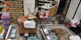 Roma: il Questore…, ha firmato un provvedimento ai sensi dell’articolo 100 T.U.L.P.S. riguardante la discoteca abusiva di Tor Fiscale