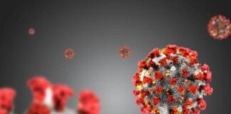 I positivi al #Coronavirus, sono stati finora 79.345 (+117) rispetto a ieri