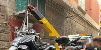 Stamattina i #Nibbio dell’Ufficio Prevenzione Generale di Napoli e gli #agenti dell’Ufficio Veicoli Abbandonati della #Polizia Municipale hanno effettuato un servizio in via Concezione a Montecalvario, piazzetta Martinelli, via Francesco Girardi, via Politi, vicoletto II del Consiglio, vico I Concezione a Montecalvario, vicoletto I Consiglio, vico Lungo San Matteo e vico Due Porte a Toledo