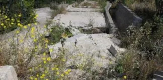 A Campofelice di Roccella, nel Palermitano, un’intera area di quasi due ettari, un tempo adibita a Parco urbano, è tormentata da circa quindici anni da infiltrazioni d’acqua sotterranee che l’hanno resa invivibile