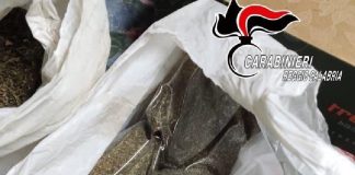 Nascondeva all’interno di una stalla di sua proprieta’ 760 grammi di marijuana essiccata e pronta per essere suddivisa in dosi e venduta