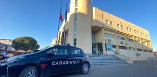 I militari della stazione Carabinieri Forestale di Cirò, nel corso di un’attività di controllo del territorio, hanno accertato, a Cirò Marina in località Lipuda, che un autocarro intento a trasportare rifiuti speciali ottenuti dall’attività di demolizione edilizia, intestato ad una ditta di movimentazione terra avente nello stesso comune, era privo dei titoli autorizzativi previsti per il trasporto rifiuti ovvero dell’iscrizione presso l’Albo Nazionale dei Gestori Ambientali