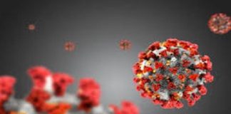 Il totale dei tamponi positivi, eseguiti fino ad ora nel comprensorio calabrese è pari a 1.203.033 (+1.528)