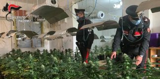 I carabinieri del reparto territoriale di Termini Imerese hanno arrestato Vincenzo Ribaudo e Giuseppe Rizzuto, entrambi 30enni palermitani, accusati di coltivazione ai fini di spaccio di sostanza stupefacente e furto aggravato