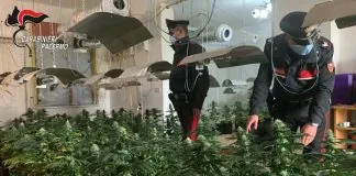 I carabinieri del reparto territoriale di Termini Imerese hanno arrestato Vincenzo Ribaudo e Giuseppe Rizzuto, entrambi 30enni palermitani, accusati di coltivazione ai fini di spaccio di sostanza stupefacente e furto aggravato