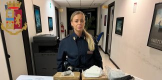 Un controllo del territorio a tappeto, senza soluzione di continuità, ha consentito di trarre in arresto un romeno che passeggiava per strada in via Carlo Cattaneo a Fonte Nuova