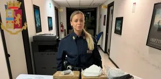 Un controllo del territorio a tappeto, senza soluzione di continuità, ha consentito di trarre in arresto un romeno che passeggiava per strada in via Carlo Cattaneo a Fonte Nuova