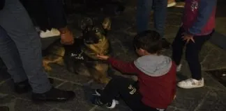 Nel pomeriggio di ieri, 23 ottobre 2021, in Piazza della Resistenza, organizzata dal Comitato Italiano Genitori Pans Pandas Bge con il patrocinio del comune di Crotone e la commissione delle Pari Opportunità, si è svolta la manifestazione in oggetto