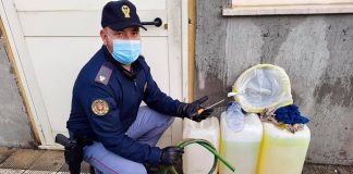 I poliziotti delle #Volanti della #Questura di Messina lo hanno sorpreso stanotte, intorno alle 04.00, mentre asportava carburante da un pullman in sosta in piazza Cavallotti