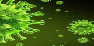 Le persone risultate positive al Coronavirus sono 92.269 (+279) rispetto a ieri