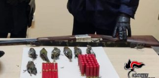 A Cinquefrondi, i carabinieri, nel corso di controlli straordinari nelle aree montane protette, predisposti con l’avvio della stagione venatoria, al fine di prevenire e reprimere l’annoso fenomeno della caccia di frodo, tutelare l’ambiente, la flora e la fauna e, non di secondaria importanza, per contrastare il fenomeno delittuoso delle rapine ai danni dei cacciatori, hanno denunciato un 73enne