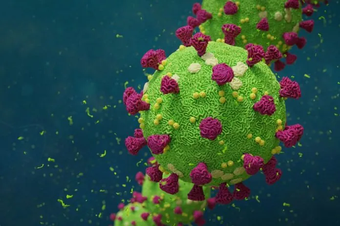 coronavirus-al-microscopio_1020x680