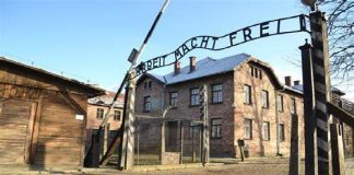 Nella mattinata di domani, giovedì 27 gennaio, durante una cerimonia che si svolgerà presso il Palazzo del Governo, nel rispetto delle misure di prevenzione e contenimento dell’emergenza epidemiologica da Covid-19, il Prefetto di Messina dr.ssa Cosima Di Stani consegnerà le medaglie d’onore concesse dal Presidente della Repubblica in occasione della ricorrenza del “Giorno della Memoria”