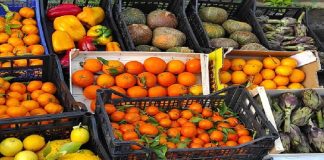 Continua incessante l’azione della Polizia commerciale della Polizia Municipale di Messina, diretta dal Comandante Vicario Commissario Giardina Giovanni coordinata dall’Ispettore Giuseppe Cifalà