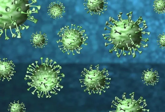 coronavirus-corona-virus-covid-19-disease-epidemic-pathogen-pandemic-infection_122