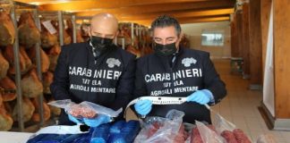 Nelle scorse settimane, sul territorio nazionale, i militari dei Reparti Tutela Agroalimentare (RAC) di Torino, Parma, Roma, Salerno e Messina hanno eseguito controlli di filiera nel settore zootecnico e dei marchi di qualità ispezionando oltre 30 aziende di trasformazione e vendita di carni suine, al fine di verificare la corretta applicazione delle norme sull’etichettatura dei prodotti, a tutela delle indicazioni geografiche e del consumatore