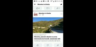 Continua l’azione di controllo del territorio della Polizia Metropolitana di Messina agli ordini del Comandante dott. Daniele Lo Presti