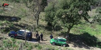 I carabinieri forestali, nelle scorse ore hanno denunciato 4 persone nell’ambito di controlli e operazioni e sequestrato oltre 35 esemplari di animali appartenenti a specie protette