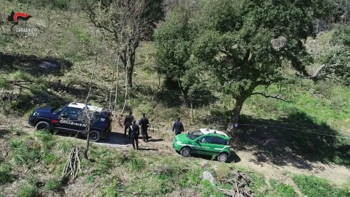 Traffico animali carabinieri Palermo