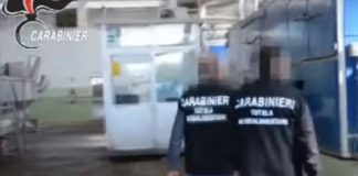 Vi è un ristorante pizzeria di Catania tra quelli finiti nel mirino in tutta Italia, durante il contesto di una operazione portata avanti dagli appartenenti alla Benemerita