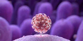 Il dato dei ricoveri oggi per #Coronavirus negli ospedali siciliani rispetto a ieri vede un decremento complessivo di 37 unità