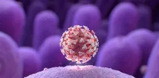 Il dato dei ricoveri oggi per #Coronavirus negli ospedali siciliani rispetto a ieri vede un decremento complessivo di 37 unità