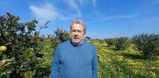 “Come Democrazia Cristiana vogliamo impegnarci nei vari territori, cercando di aiutarli a sfruttare e trasformare i loro settori chiave, puntando su nuove tecnologie e formazione”