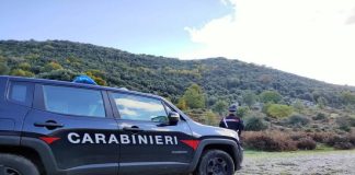 In uno dei boschi al confine fra le regioni di Lazio e Campania e fra le provincia di Frosinone e quella di Caserta, nella zona di Rocca d’Evandro, questa mattina i carabinieri hanno rinvenuto un corpo senza vita