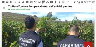 I Carabinieri del Reparto Tutela Agroalimentare di Messina e della Compagnia di S. Agata di Militello hanno eseguito nei confronti di 2 imprenditori agricoli messinesi la misura cautelare del divieto di esercitare l’attività professionale e imprenditoriale per un anno e sottoposto a sequestro preventivo – ai fini della confisca – beni per un valore complessivo di circa 180.000 euro oltre ad 84 titoli di pagamento AGEA (c.d. diritti all’aiuto), di proprietà degli stessi e di 2 società a loro riconducibili