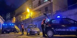 Nella giornata di ieri, i Carabinieri della Compagnia di Santo Stefano di Camastra, con il supporto dei colleghi del Nucleo Carabinieri Cinofili di Nicolosi (CT) e del Nucleo Ispettorato Lavoro di Messina, hanno intensificato i servizi di controllo del territorio concentrandoli soprattutto nei comuni di Cesarò e San Teodoro