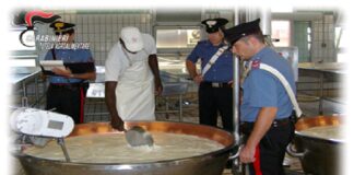 I Carabinieri del Reparto Tutela Agroalimentare (RAC) di Roma, coadiuvati dalla Stazione Carabinieri di Monterosi, in provincia di Viterbo, nell’ambito di controlli nel settore lattiero caseario, hanno denunciato i due titolari di un’azienda di trasformazione e confezionamento di latte vaccino, yogurt e burro, per frode in commercio (art. 515 cp) e combustione illecita di rifiuti (art. 256bis D.Lgs. 125/2006)