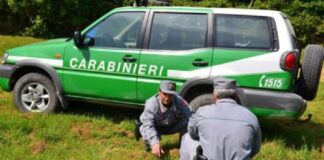 Con l’arrivo della pioggia si interrompono due settimane nelle quali a causa della siccità e dell’imprudenza si sono verificati almeno dieci incendi boschivi causati prevalentemente per colpa