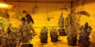 Nella serata di ieri, nell’ambito dei rafforzati servizi mirati a frenare il fenomeno dello spaccio di sostanze stupefacenti, Agenti della Squadra Mobile hanno arrestato un uomo di 22 anni, di origine palermitana ma di fatto dimorante nel capoluogo aretuseo