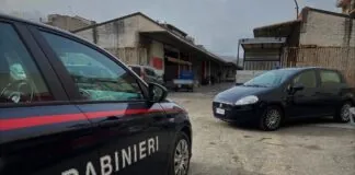 Ieri mattina, i militari della Compagnia di Barcellona Pozzo di Gotto, coadiuvati dai colleghi del Reparto Carabinieri Tutela Agro-Alimentare di Messina, hanno eseguito un servizio straordinario di controllo del territorio, volto alla verifica della commercializzazione di prodotti ortofrutticoli presso il Mercato Ortofrutticolo di Nasari, la prevenzione dello spaccio di sostanze psicotrope nonché il controllo della circolazione stradale