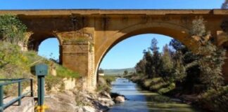 Nuove direttive a enti locali e soggetti istituzionali per una corretta gestione del cosiddetto rischio idraulico, che potenzialmente si annida nei corsi d’acqua del territorio siciliano