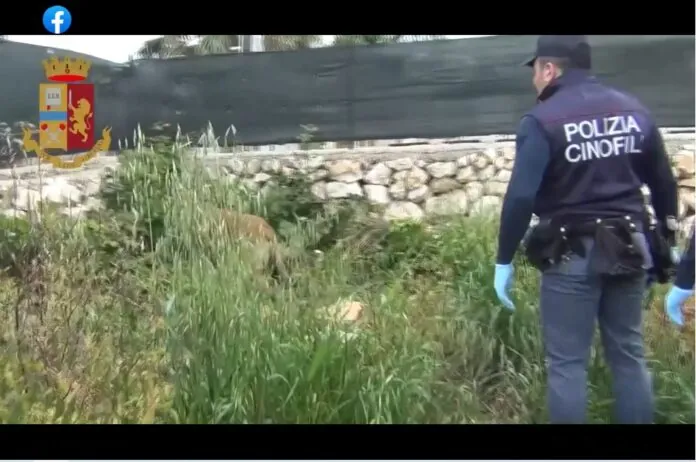 Siracusa droga ps