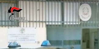 I carabinieri del nucleo operativo radiomobile della compagnia di Paternò hanno arrestato in flagranza di reato un 22enne accusato di maltrattamenti in famiglia e lesioni personali aggravate