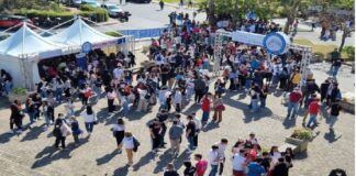 Si è concluso – al Campus di Papardo – il tradizionale appuntamento con “UniMe Open Day”, evento organizzato dal COP in collaborazione con i Dipartimenti universitari, i Centri e le Strutture che erogano servizi alla platea studentesca