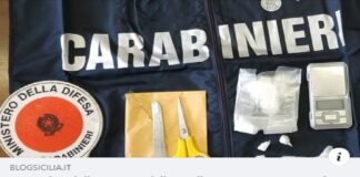 Una casalinga di 33 anni, sposata, incensurata, residente a Scicli, nel Ragusano, ha patteggiato innanzi ai giudici del Tribunale di sede, la pena di 2 anni, 8 mesi di reclusione ed il pagamento di una multa di 11 mila euro per spaccio di droga