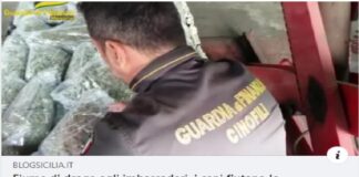 I Finanzieri del Comando Provinciale di Messina, con l’ausilio delle unità cinofile, hanno operato un significativo sequestro di droga del tipo marijuana per oltre 32 chili, traendo in arresto un responsabile