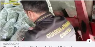 I Finanzieri del Comando Provinciale di Messina, con l’ausilio delle unità cinofile, hanno operato un significativo sequestro di droga del tipo marijuana per oltre 32 chili, traendo in arresto un responsabile